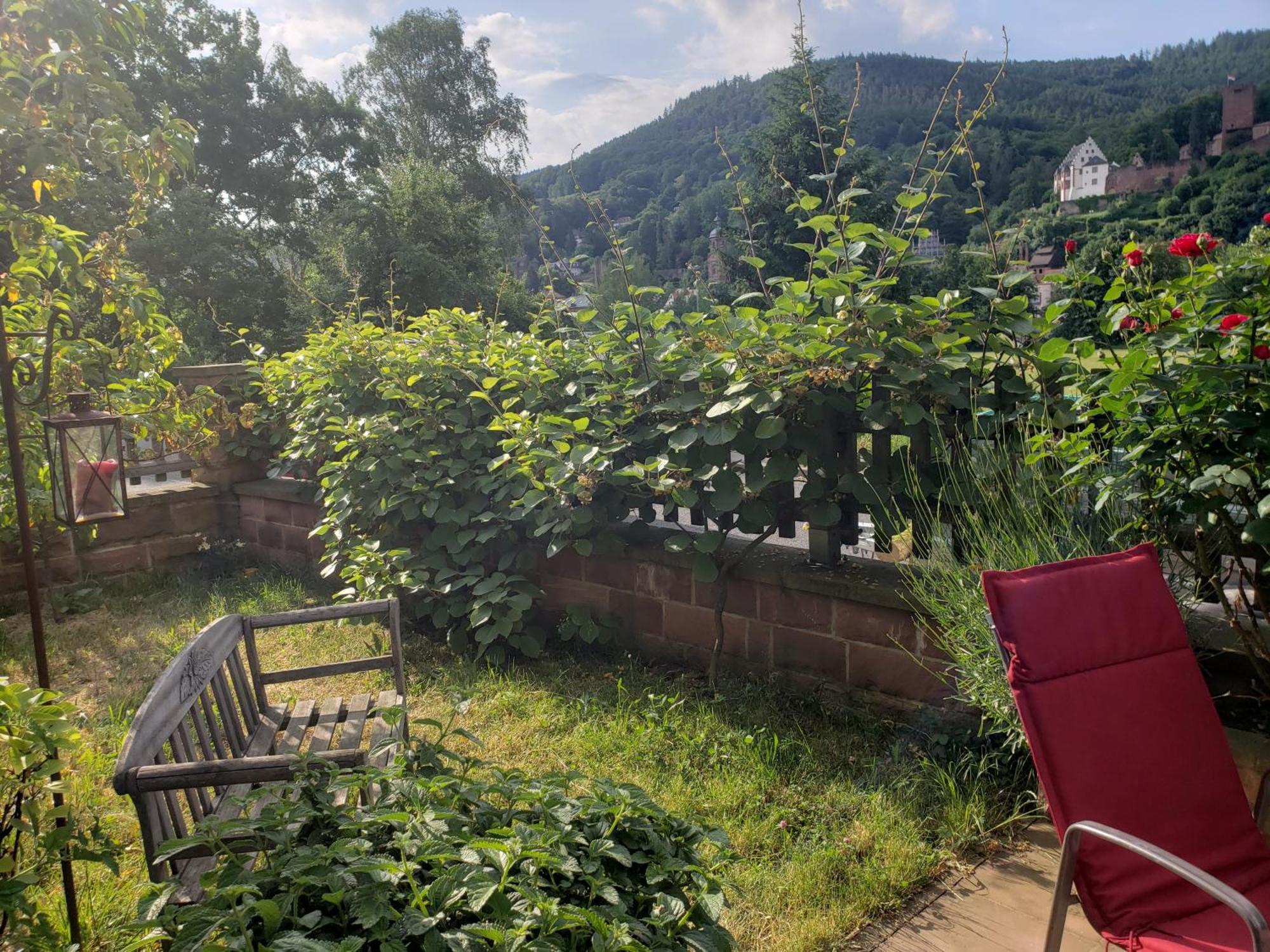 Panorama-Blick Miltenberg, 3 Pers., Zentr., Am Main, Terrasse, Bootverleih, P Extérieur photo