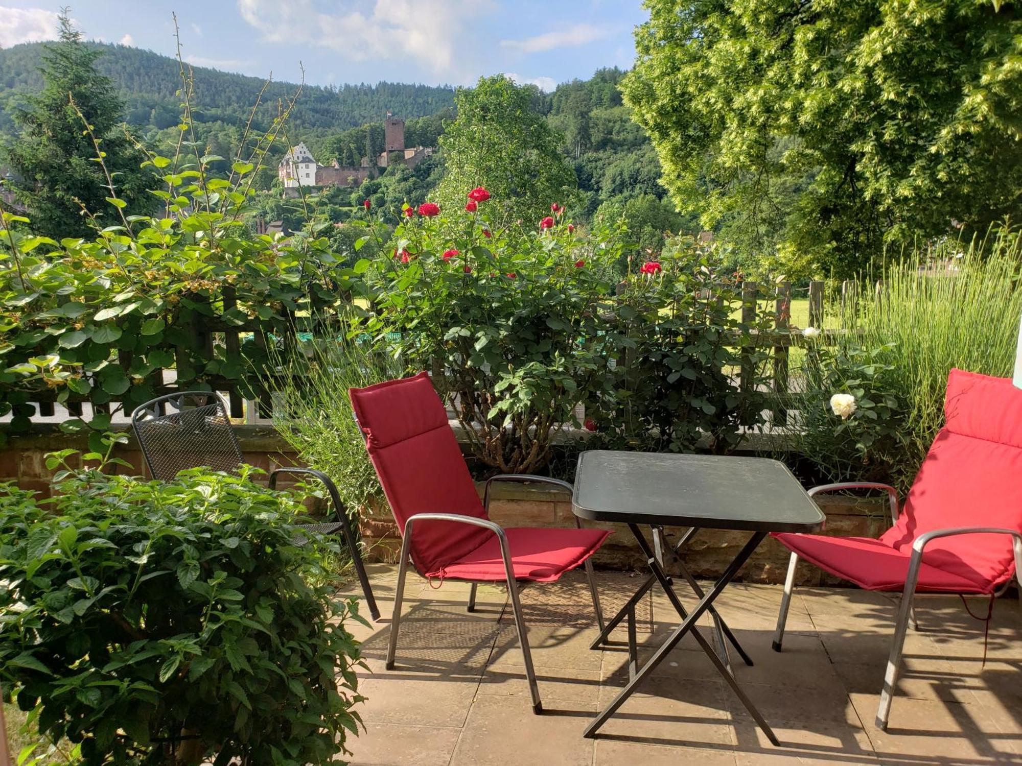 Panorama-Blick Miltenberg, 3 Pers., Zentr., Am Main, Terrasse, Bootverleih, P Extérieur photo