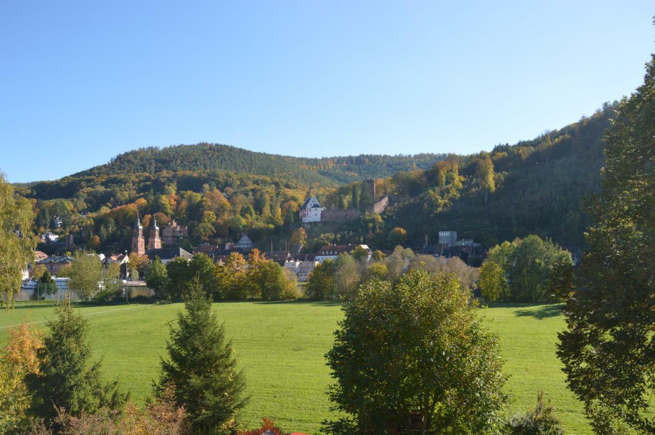Panorama-Blick Miltenberg, 3 Pers., Zentr., Am Main, Terrasse, Bootverleih, P Extérieur photo