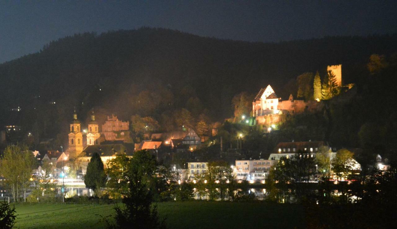 Panorama-Blick Miltenberg, 3 Pers., Zentr., Am Main, Terrasse, Bootverleih, P Extérieur photo