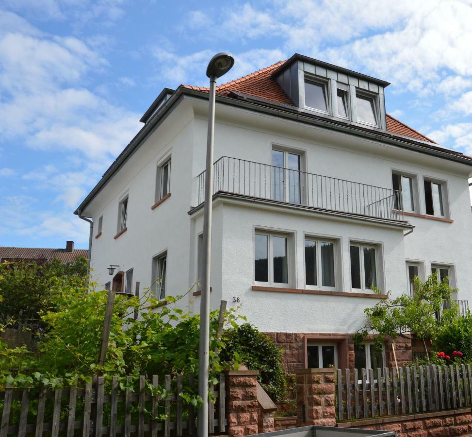 Panorama-Blick Miltenberg, 3 Pers., Zentr., Am Main, Terrasse, Bootverleih, P Extérieur photo