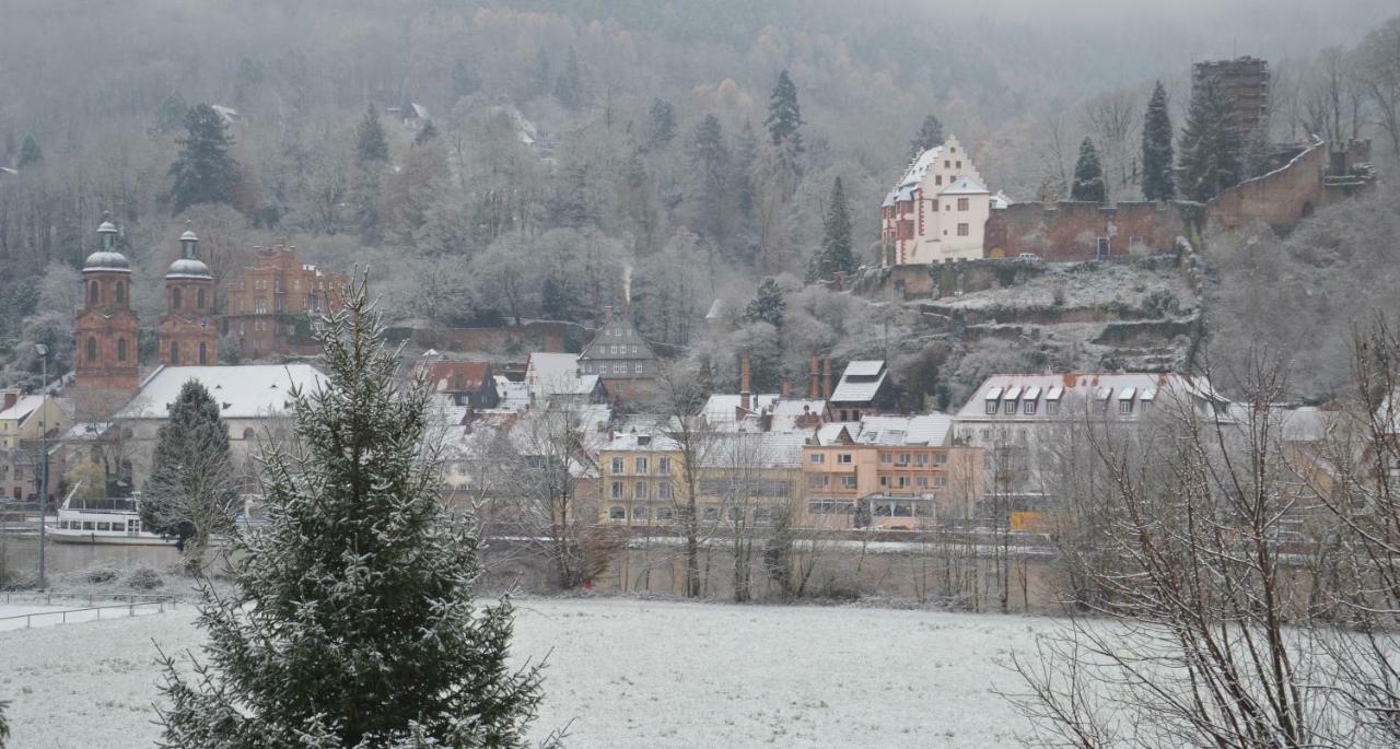 Panorama-Blick Miltenberg, 3 Pers., Zentr., Am Main, Terrasse, Bootverleih, P Extérieur photo