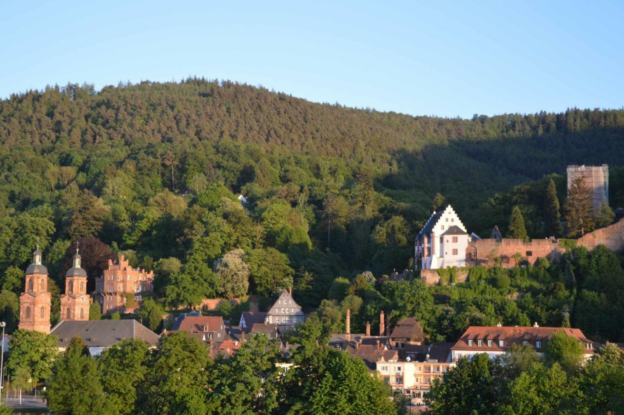 Panorama-Blick Miltenberg, 3 Pers., Zentr., Am Main, Terrasse, Bootverleih, P Extérieur photo