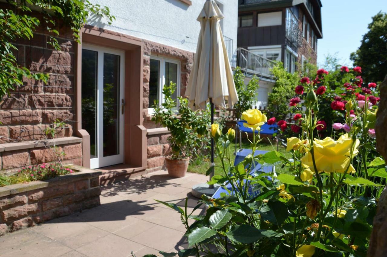 Panorama-Blick Miltenberg, 3 Pers., Zentr., Am Main, Terrasse, Bootverleih, P Extérieur photo
